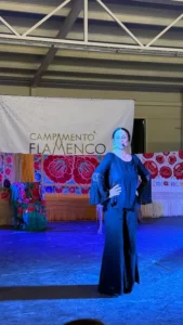 Campamento Flamenco Madrid 2024: Semana de pura pasión por el flamenco.