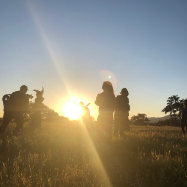 1eace128907878acf7c0f18541dd5145