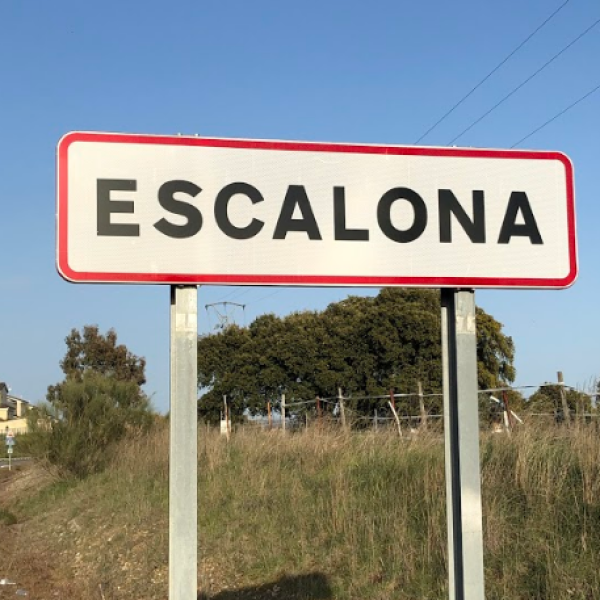 358660083b39b7e04eccd1fc2759d46e