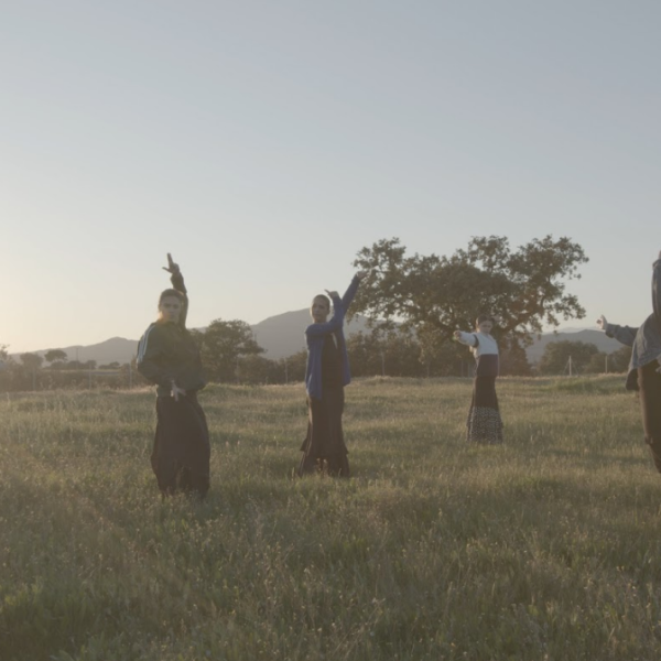 7c60f4aa362d8be6535e64d5337c78e5