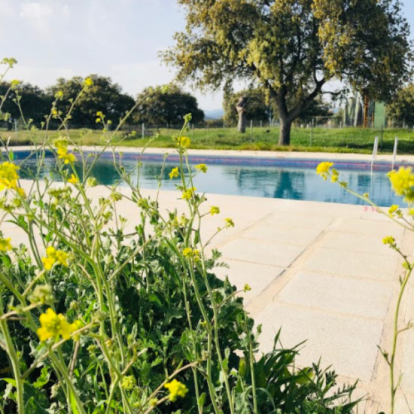 aa45e61058bf2ae579ed83c335d5e5fd